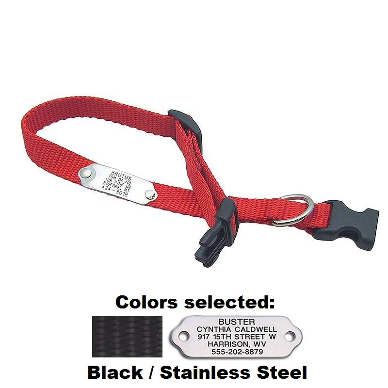 Rivet ID Collar for Dogs, - Lucky Pet